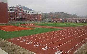 学校月活动总结参考6篇