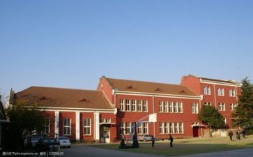 学校会计个人总结范文8篇