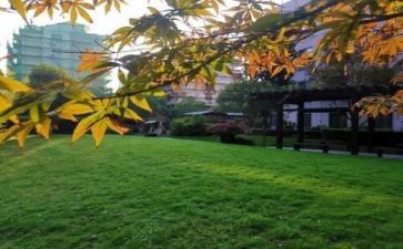 2024学校教研工作总结优质5篇