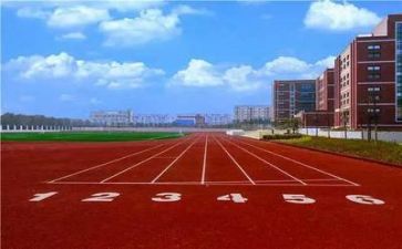 学校食堂的调查报告8篇
