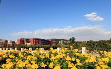 学校安全处工作总结8篇