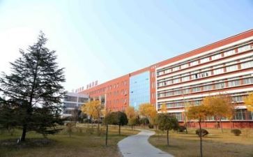 在学校的个人主要事迹8篇