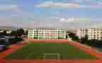 关于学校食堂调查报告5篇