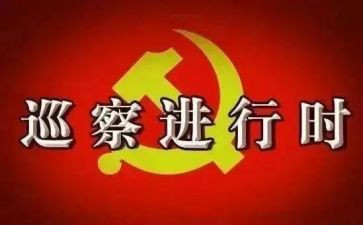 被巡察村工作汇报材料8篇