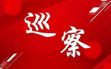 巡察干部述职述廉报告7篇