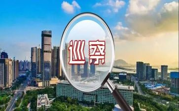 巡察干部工作总结6篇