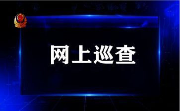巡查工作总结6篇