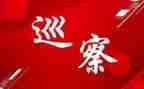 巡察干部述职述廉报告7篇