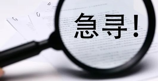 寻访作文500字5篇