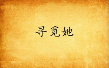寻觅的作文5篇