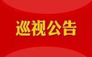 巡视工作个人工作总结5篇