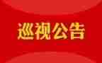 巡视工作个人工作总结5篇