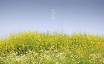 写人叙事作文5篇