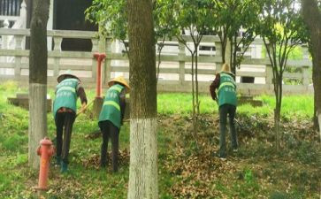 养护员述职报告7篇
