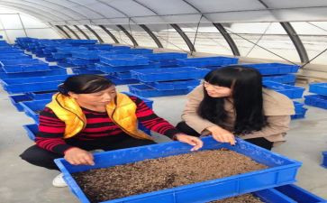 养殖合作合同优质6篇