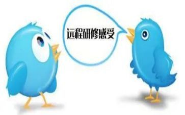 2024教师研修总结精选5篇