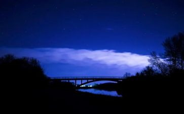 中秋夜作文范文推荐8篇