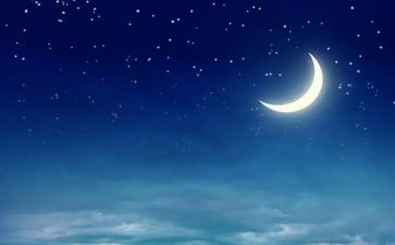 夜晚的城市作文6篇