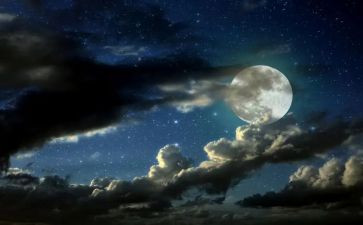 一千零一夜?A读后感最新6篇