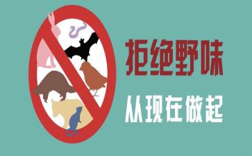 关于健康饮食拒绝野味的演讲稿6篇