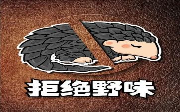关于拒绝野味健康饮食的演讲稿6篇