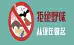 关于健康饮食拒绝野味的演讲稿6篇