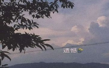 遗憾的爱作文6篇