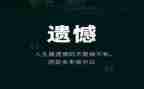 关于遗憾的作文5篇