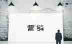 营销会工作总结范文通用7篇