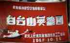 英雄楷模心得体会7篇