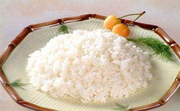 食品营养与健康的心得体会7篇