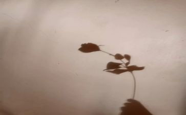 影子歌中班教案6篇