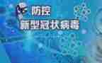 2024年疫情培训总结7篇
