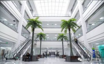 医院药师工作总结5篇