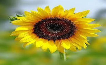 永恒的——作文6篇