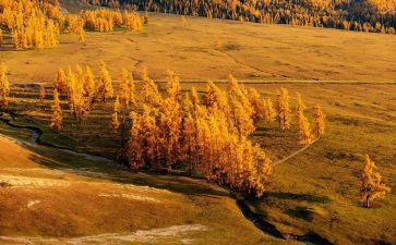 学生幽默自我介绍范文6篇