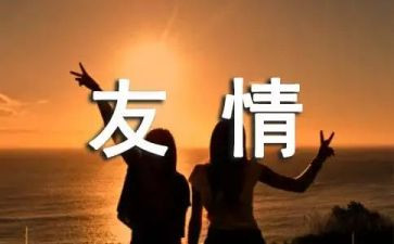 友情类作文800字优质5篇