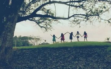 友情故事作文5篇