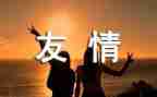 友情类作文800字优质5篇