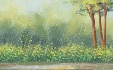 关于春天的雨的作文精选8篇