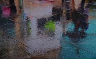 二年级语文雷雨教案5篇