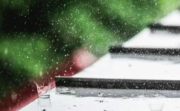雨的读后感30字模板7篇