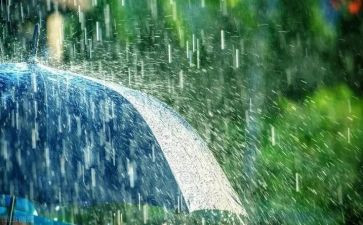 雨600字初中作文通用8篇