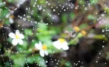 幼儿园下雨教案7篇