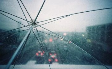 小英雄雨来读后感300精选5篇