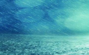 关于春天的雨的作文8篇