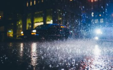 雨中的树作文800字优秀6篇