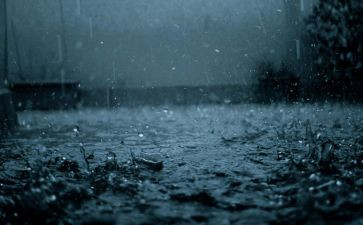 作文雨中的故事优秀8篇