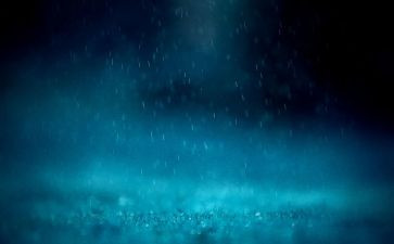 我是雨作文500字优质8篇