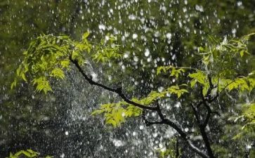 小英雄雨来读后感300模板6篇